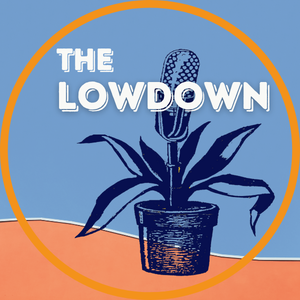 Team Page: The Lowdown with Amanda Eichstaedt